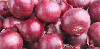 Cebolla peruana gana mercado y crece 16% en exportaciones durante febrero Cebolla peruana gana mercado y crece 16% en exportaciones durante febrero