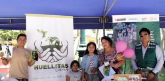 Feria en Piura promoverá la conservación de plantas medicinales y aromáticas Feria en Piura promoverá la conservación de plantas medicinales y aromáticas