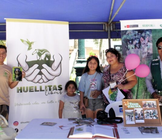 Feria en Piura promoverá la conservación de plantas medicinales y aromáticas Feria en Piura promoverá la conservación de plantas medicinales y aromáticas