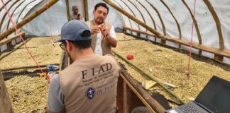 Productores de Morropón mejoran calidad del café con secadores solares Productores de Morropón mejoran calidad del café con secadores solares