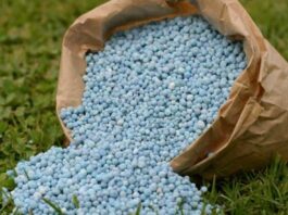 Tensión en Medio Oriente impacta el mercado de fertilizantes y alerta al sector agrícola Tensión en Medio Oriente impacta el mercado de fertilizantes y alerta al sector agrícola