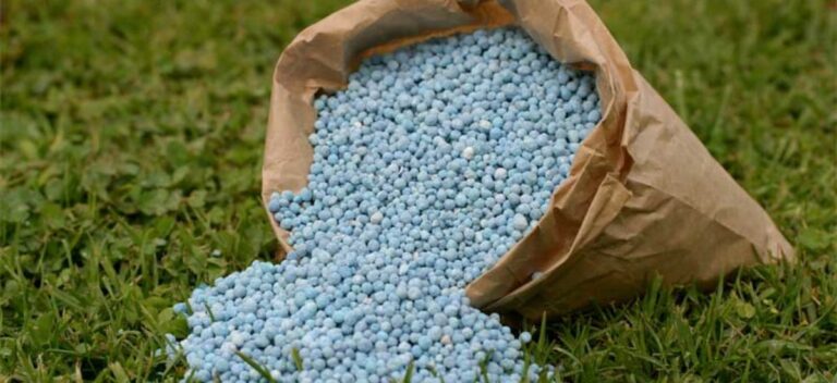 Tensión en Medio Oriente impacta el mercado de fertilizantes y alerta al sector agrícola