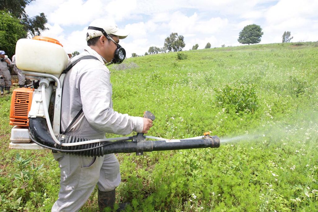 Adex advierte que venta ilegal de clorpirifós afecta exportaciones agrícolas