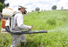 Adex advierte que venta ilegal de clorpirifós afecta exportaciones agrícolas Adex advierte que venta ilegal de clorpirifós afecta exportaciones agrícolas