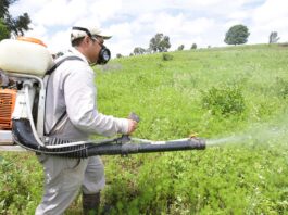 Adex advierte que venta ilegal de clorpirifós afecta exportaciones agrícolas Adex advierte que venta ilegal de clorpirifós afecta exportaciones agrícolas