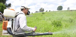 Adex advierte que venta ilegal de clorpirifós afecta exportaciones agrícolas Adex advierte que venta ilegal de clorpirifós afecta exportaciones agrícolas