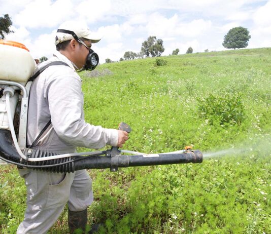 Adex advierte que venta ilegal de clorpirifós afecta exportaciones agrícolas Adex advierte que venta ilegal de clorpirifós afecta exportaciones agrícolas