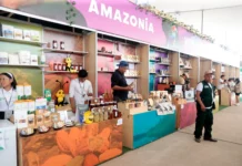 ExpoAmazónica Cusco 2026 espera generar negocios por más de S/ 100 millones ExpoAmazónica Cusco 2026 espera generar negocios por más de S/ 100 millones