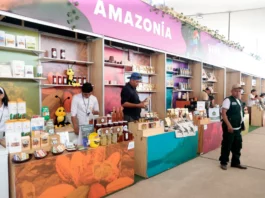 ExpoAmazónica Cusco 2026 espera generar negocios por más de S/ 100 millones ExpoAmazónica Cusco 2026 espera generar negocios por más de S/ 100 millones