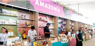 ExpoAmazónica Cusco 2026 espera generar negocios por más de S/ 100 millones ExpoAmazónica Cusco 2026 espera generar negocios por más de S/ 100 millones