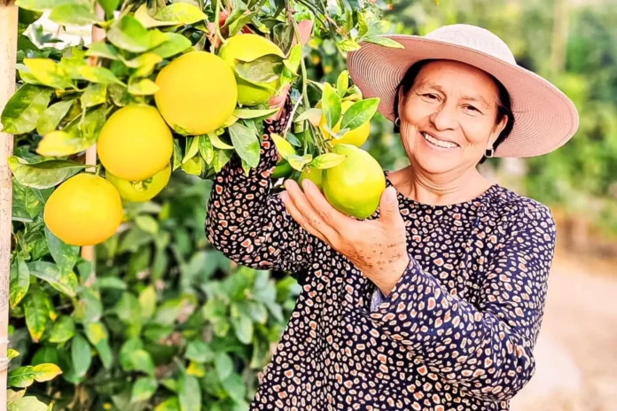 Más de 100 productores de naranja en Tacna reciben capacitación técnica para mejorar calidad y acceso a mercados