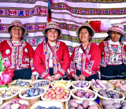 Cusco: inicia proyecto ABD Perú para proteger cultivos nativos y biodiversidad Cusco: inicia proyecto ABD Perú para proteger cultivos nativos y biodiversidad