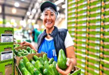 Agromercado lanza plataforma digital para conectar productores y compradores agrarios Agromercado lanza plataforma digital para conectar productores y compradores agrarios