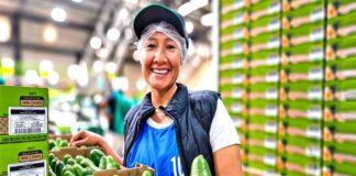 Agromercado lanza plataforma digital para conectar productores y compradores agrarios Agromercado lanza plataforma digital para conectar productores y compradores agrarios