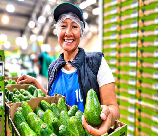 Agromercado lanza plataforma digital para conectar productores y compradores agrarios Agromercado lanza plataforma digital para conectar productores y compradores agrarios