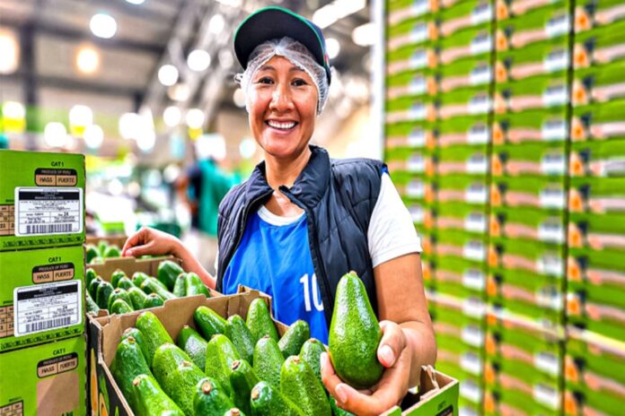 Agromercado lanza plataforma digital para conectar productores y compradores agrarios