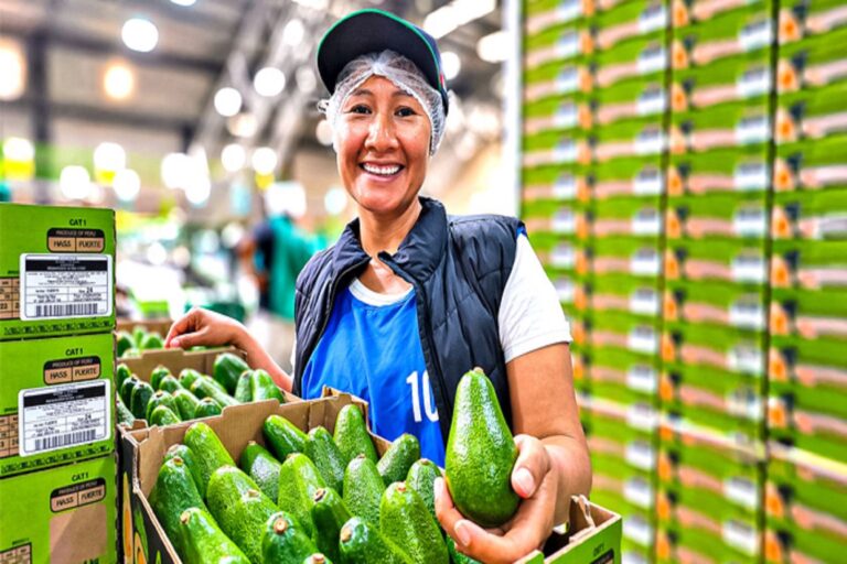 Agromercado lanza plataforma digital para conectar productores y compradores agrarios
