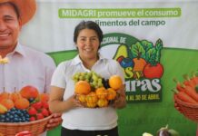 Consumo de frutas y hortalizas en Perú crece 21% y fortalece la seguridad alimentaria Consumo de frutas en Perú crece 21% y fortalece la seguridad alimentaria