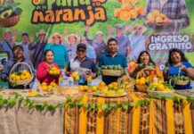 Expoferia en Tacna promueve consumo de palta y naranja en Gregorio Albarracín Expoferia en Tacna promueve consumo de palta y naranja en Gregorio Albarracín