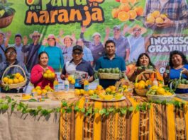 Expoferia en Tacna promueve consumo de palta y naranja en Gregorio Albarracín Expoferia en Tacna promueve consumo de palta y naranja en Gregorio Albarracín