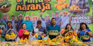 Expoferia en Tacna promueve consumo de palta y naranja en Gregorio Albarracín Expoferia en Tacna promueve consumo de palta y naranja en Gregorio Albarracín