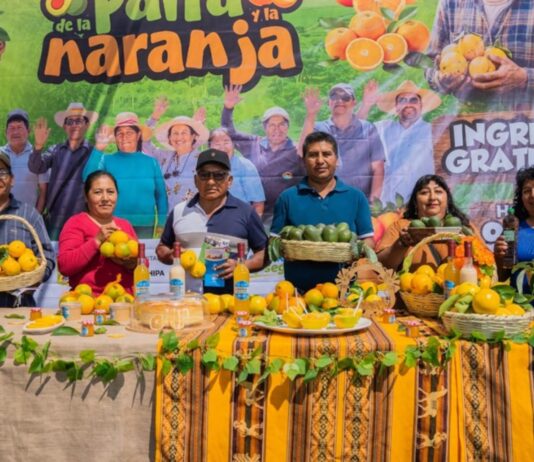 Expoferia en Tacna promueve consumo de palta y naranja en Gregorio Albarracín Expoferia en Tacna promueve consumo de palta y naranja en Gregorio Albarracín
