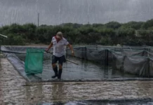 Produce otorga créditos de 0% y 1% a acuicultores afectados por lluvias: requisitos y cómo acceder Produce otorga créditos de 0% y 1% a acuicultores afectados por lluvias: requisitos y cómo acceder