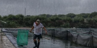 Produce otorga créditos de 0% y 1% a acuicultores afectados por lluvias: requisitos y cómo acceder Produce otorga créditos de 0% y 1% a acuicultores afectados por lluvias: requisitos y cómo acceder