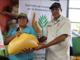 Entregan más de 60 000 plantones y tres toneladas de semillas a agricultores de Ucayali afectados por desastres Entregan más de 60 000 plantones y tres toneladas de semillas a agricultores de Ucayali afectados por desastres