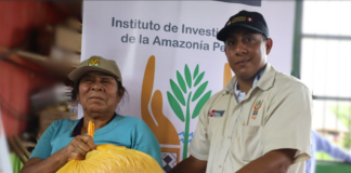 Entregan más de 60 000 plantones y tres toneladas de semillas a agricultores de Ucayali afectados por desastres Entregan más de 60 000 plantones y tres toneladas de semillas a agricultores de Ucayali afectados por desastres