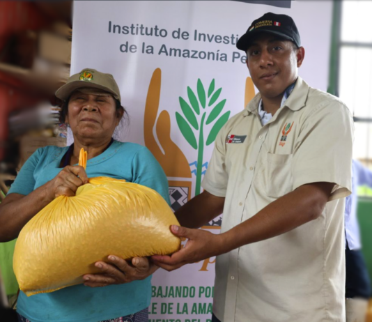 Entregan más de 60 000 plantones y tres toneladas de semillas a agricultores de Ucayali afectados por desastres Entregan más de 60 000 plantones y tres toneladas de semillas a agricultores de Ucayali afectados por desastres