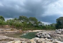 Más de 1,200 productores de San Martín serán beneficiados con obras de emergencia en ríos Naranjillo y Tonchima Más de 1,200 productores de San Martín serán beneficiados con obras de emergencia en ríos Naranjillo y Tonchima