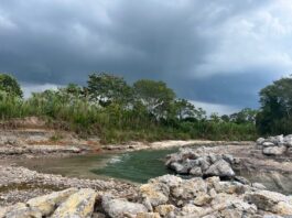 Más de 1,200 productores de San Martín serán beneficiados con obras de emergencia en ríos Naranjillo y Tonchima Más de 1,200 productores de San Martín serán beneficiados con obras de emergencia en ríos Naranjillo y Tonchima