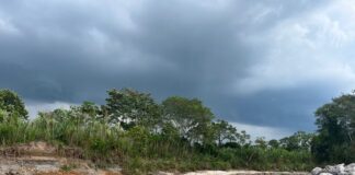 Más de 1,200 productores de San Martín serán beneficiados con obras de emergencia en ríos Naranjillo y Tonchima Más de 1,200 productores de San Martín serán beneficiados con obras de emergencia en ríos Naranjillo y Tonchima