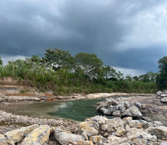 Más de 1,200 productores de San Martín serán beneficiados con obras de emergencia en ríos Naranjillo y Tonchima Más de 1,200 productores de San Martín serán beneficiados con obras de emergencia en ríos Naranjillo y Tonchima
