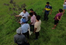 Capacitan a comunidades nativas de Loreto y Selva Central para el manejo sostenible de sus bosques Capacitan a comunidades nativas de Loreto y Selva Central para el manejo sostenible de sus bosques