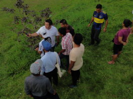 Capacitan a comunidades nativas de Loreto y Selva Central para el manejo sostenible de sus bosques Capacitan a comunidades nativas de Loreto y Selva Central para el manejo sostenible de sus bosques