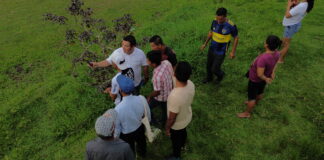 Capacitan a comunidades nativas de Loreto y Selva Central para el manejo sostenible de sus bosques Capacitan a comunidades nativas de Loreto y Selva Central para el manejo sostenible de sus bosques
