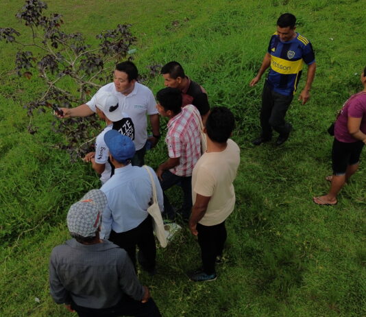 Capacitan a comunidades nativas de Loreto y Selva Central para el manejo sostenible de sus bosques Capacitan a comunidades nativas de Loreto y Selva Central para el manejo sostenible de sus bosques