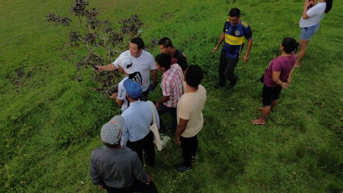 Capacitan a comunidades nativas de Loreto y Selva Central para el manejo sostenible de sus bosques
