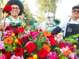 Demanda de flores en Semana Santa impulsa la actividad de más de 7,000 productores Demanda de flores en Semana Santa impulsa la actividad de más de 7,000 productores