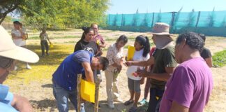 Más de 120 productores de Piura adoptan trampas ecológicas para reducir el uso de insecticidas hasta en un 60% Más de 120 productores de Piura adoptan trampas ecológicas para reducir el uso de insecticidas hasta en un 60%