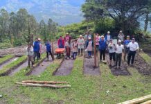 Viveros en Huancabamba producirán 15,000 plantas de palta, naranja, lima y guanábana Viveros en Huancabamba producirán 15,000 plantas de palta, naranja, lima y guanábana