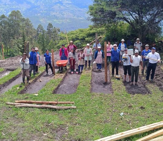 Viveros en Huancabamba producirán 15,000 plantas de palta, naranja, lima y guanábana Viveros en Huancabamba producirán 15,000 plantas de palta, naranja, lima y guanábana