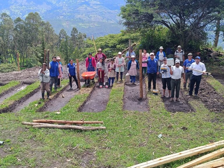 Viveros en Huancabamba producirán 15,000 plantas de palta, naranja, lima y guanábana