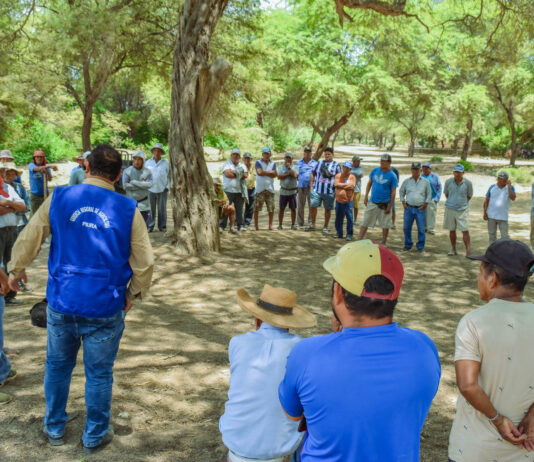 Productores de Vichayal recibirán mantenimiento de sistema de riego y asistencia técnica Productores de Vichayal recibirán mantenimiento de sistema de riego y asistencia técnica