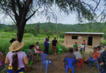 Proyecto de Agricultura Familiar beneficiará a 11 mil productores en cinco provincias de Piura Proyecto de Agricultura Familiar beneficiará a 11 mil productores en cinco provincias de Piura