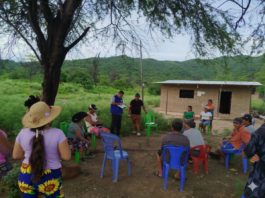 Proyecto de Agricultura Familiar beneficiará a 11 mil productores en cinco provincias de Piura Proyecto de Agricultura Familiar beneficiará a 11 mil productores en cinco provincias de Piura