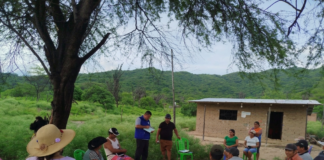 Proyecto de Agricultura Familiar beneficiará a 11 mil productores en cinco provincias de Piura Proyecto de Agricultura Familiar beneficiará a 11 mil productores en cinco provincias de Piura