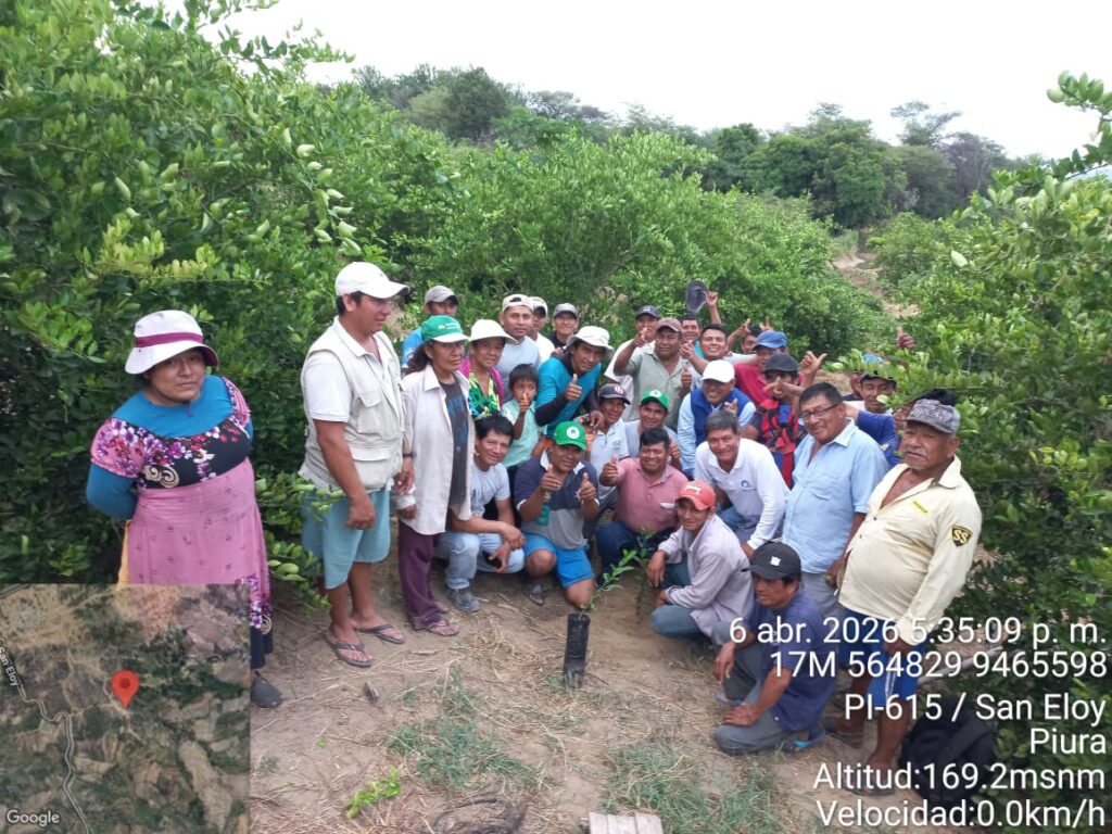 Productores de Tambogrande fortalecen técnicas de cultivo de limón sutil en Escuela de Campo Productores de Tambogrande fortalecen técnicas de cultivo de limón sutil en Escuela de Campo